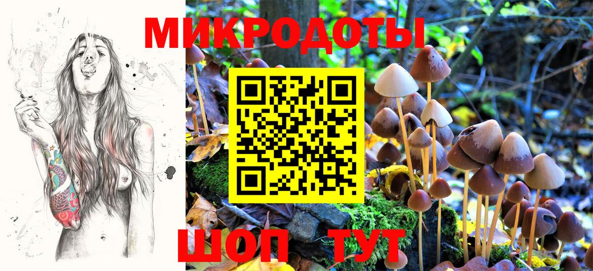 Галлюциногенные грибы прущие грибы Калуга